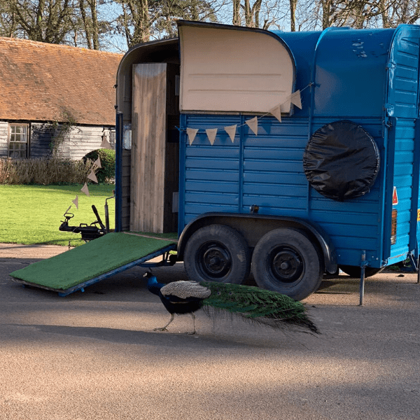 Horsebox Photo booth
