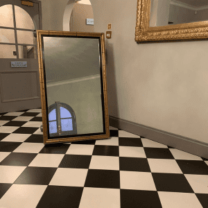 Antique Magic Selfie Mirror
