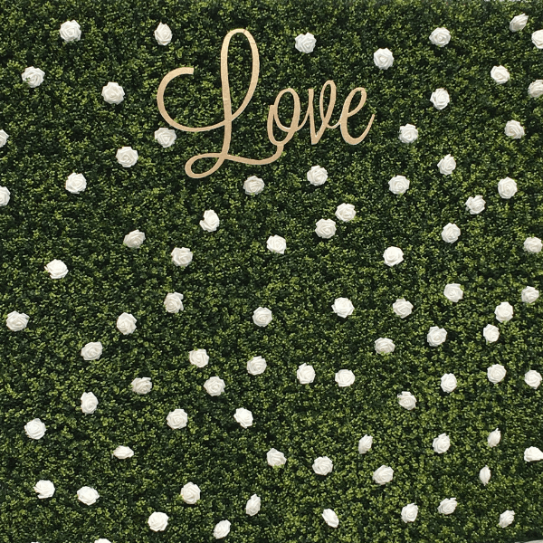 Hedge wall Backdrop