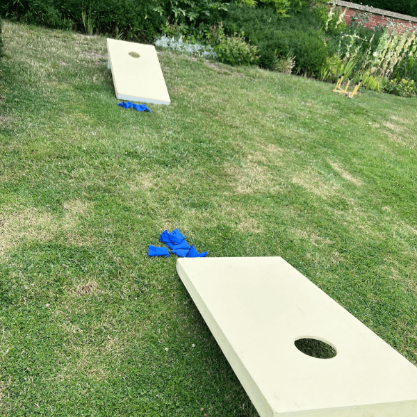 Cornhole Lawn Game