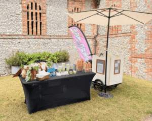 Traditional Ice Cream and Sorbet Trike