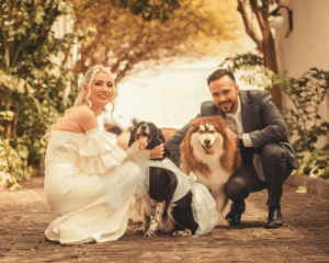 Bride and groom with dogs on their wedding day